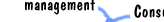 project management consulting